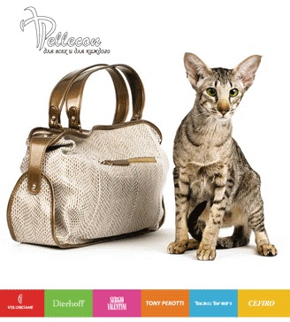 ���� �������. ������������� ��������-37. ������� �������. ��������, ���������, �������, ������, �����, �����. ������