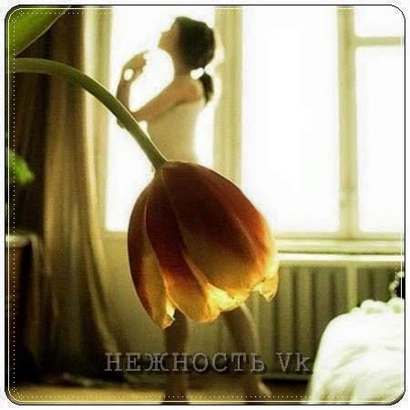 �� ����� ������� ������ ��� ����������