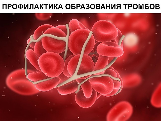 ������������ ����������� �������