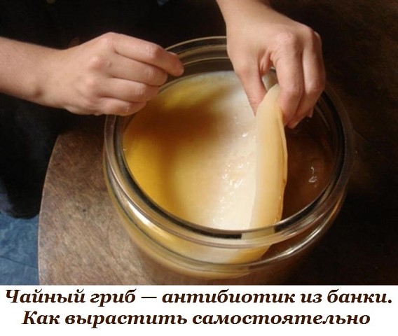 ������ ���� ���������� �� �����. ��� ��������� ��������������