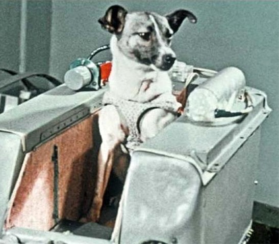 ��������, ������� �������� �������