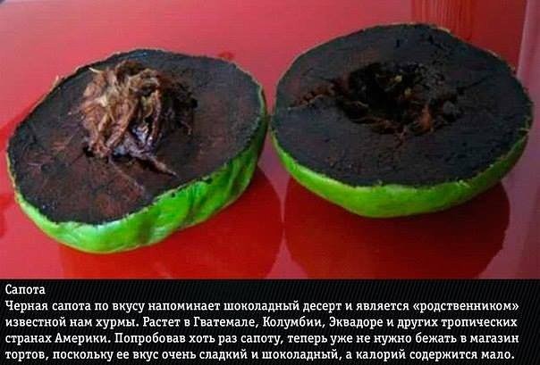 10 ����� ������������ �������