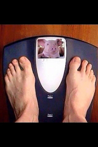 ����, ������ ����������� ����