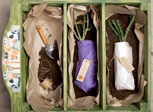 ��� ��������� ���� �� �������