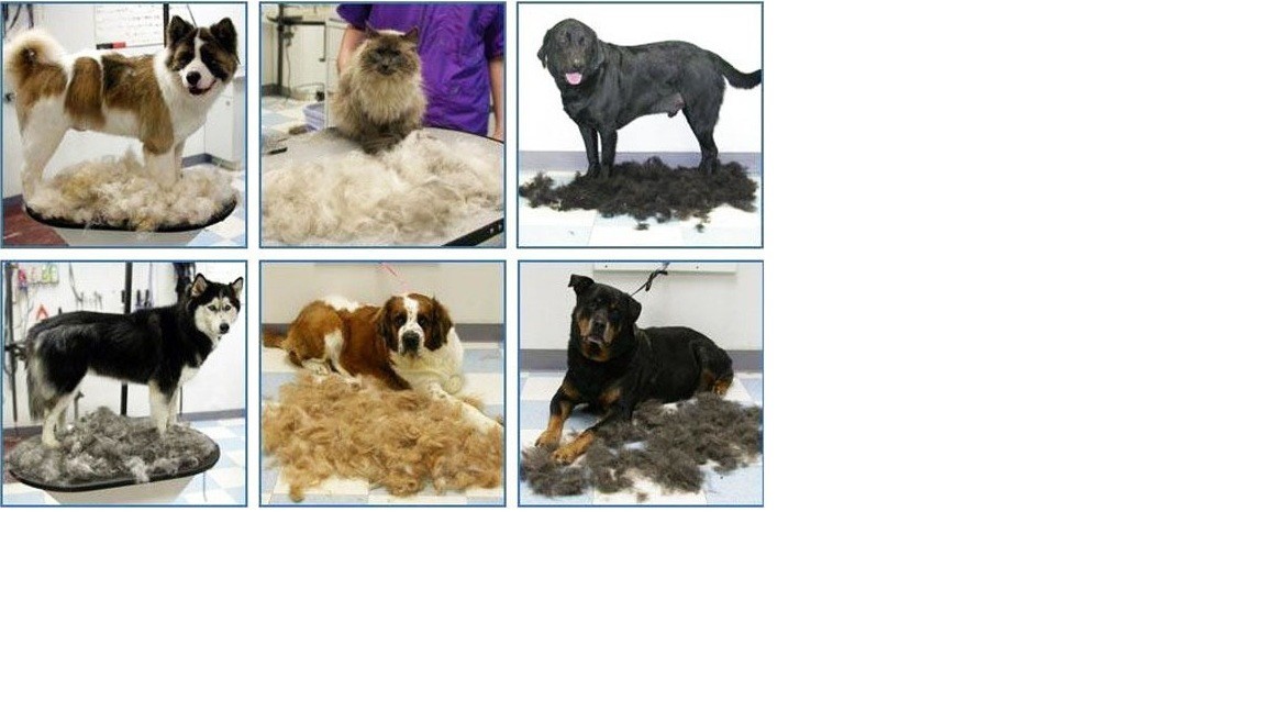 ���� �������. ���� �����. ���������, ����������� � ��������� ��������. ����� 12.