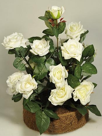 ���� �������. ���������� ��������� ����������� � ��������� ����������! ������ �� 25%. ����� �� ������� ������������� �������, ����� � �������, ��������� �����, ����������� �������, ������������� �����, ���������, ��������� ����� � ������. ����� 10.