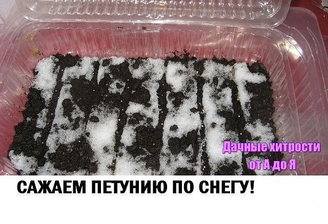 ����� ������� ������ ��������� �������� �������