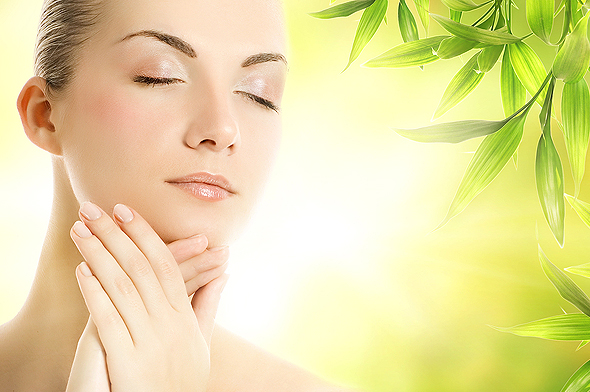 ���������� ����� ��������. ������������� ��������� �� �������� ���������� ��������. ��� ����������������� � ��������� �������������.����� - ����������, ���������, ���������������� � �������������� ���������, �������. ����� 13