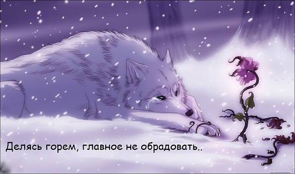 �� ����� ������������ �����