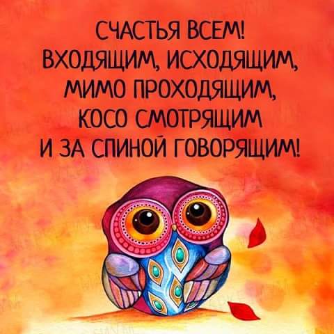 ����� ���: