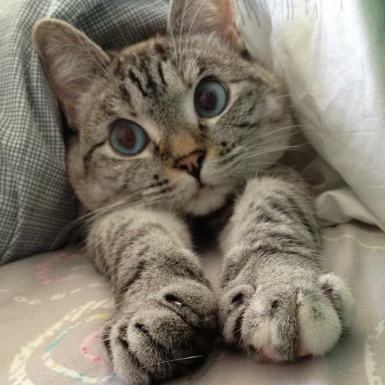 ������, ����� ���� �� ������, � �ģ�� ����? � ���� �ӣ ��� � ���?. ���� ���� ������...)))