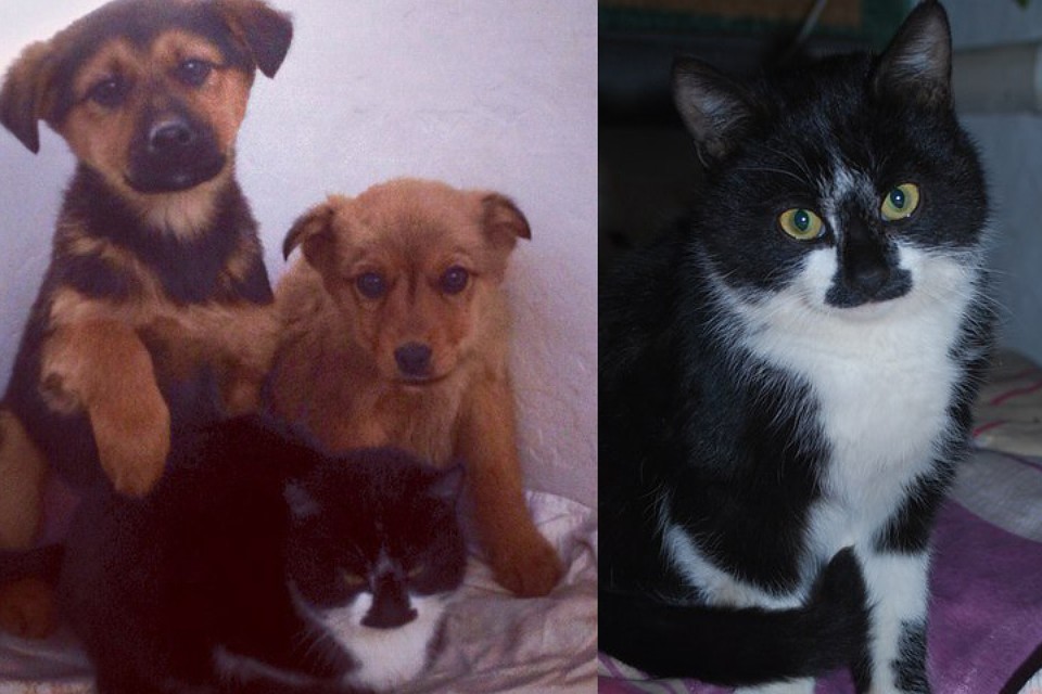 � ����� ��� ������ ������ ��������� ������...