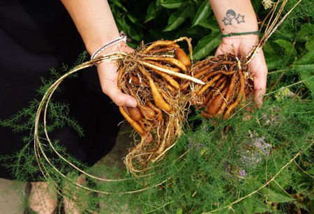 ��������