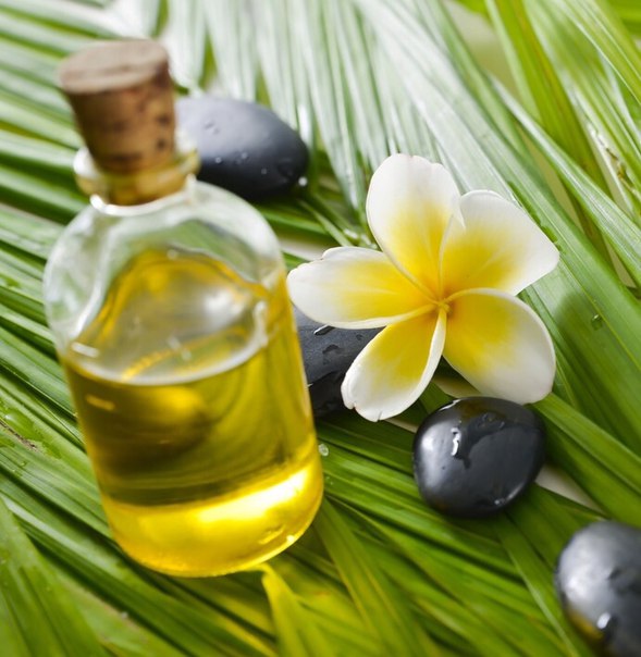 10 ����� ��������� �����