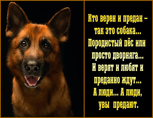 � ��������� ��������� ������ � ������