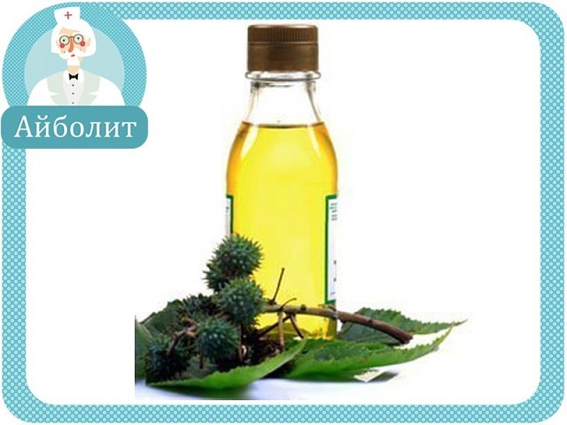 ������������ ������� ��������