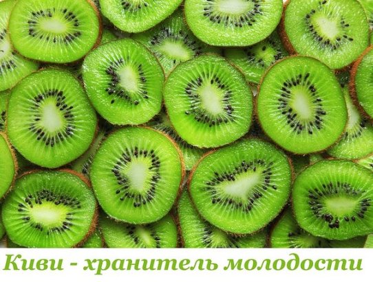 ���� - ��������� ���������