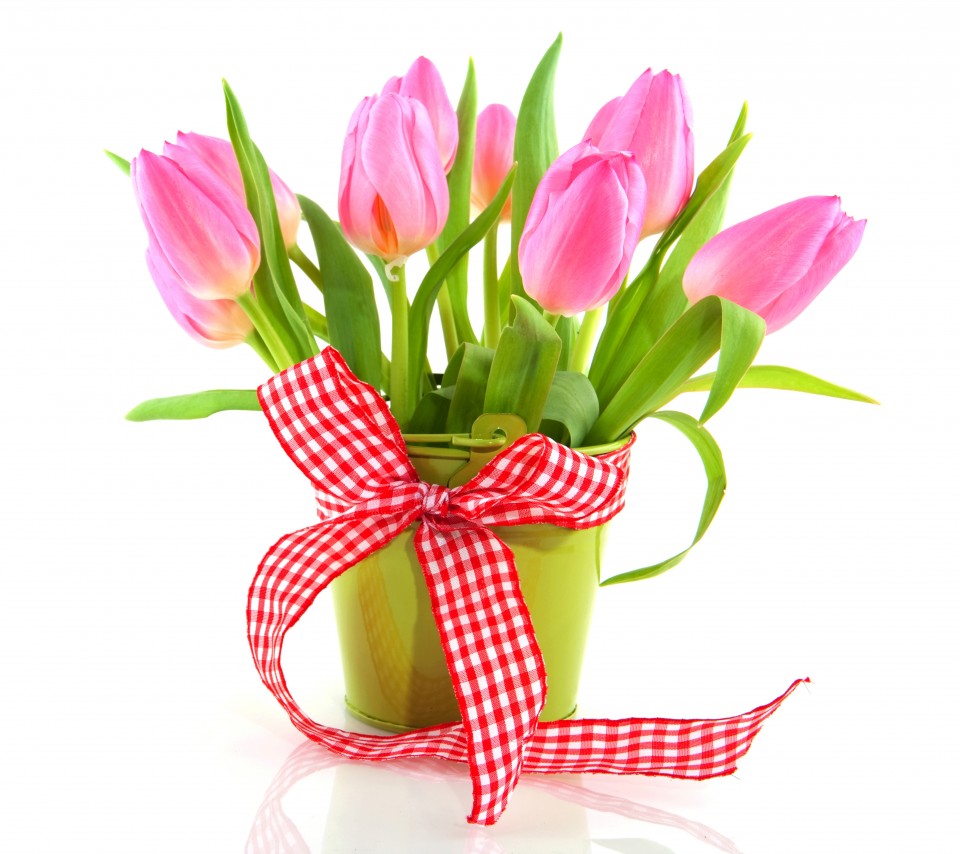 ���� �������. �������� ������� - ����� ����������� ��� ���������, ������ ������-4. ����� ������ ���� �� ������� �� ����� ����