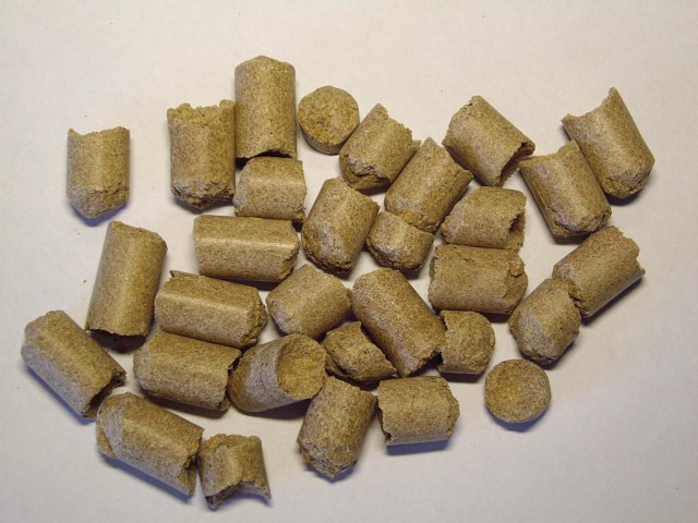 ������ - ������ � �������� ����