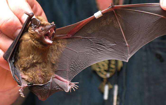 � ��������� ����, � ��������� ����... ����... �������... ���������...