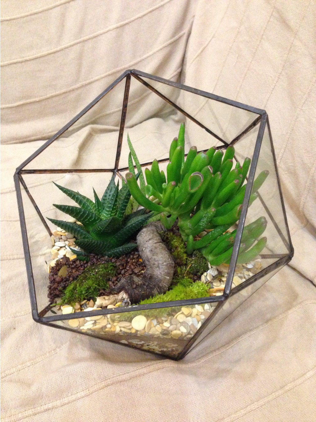 ����� �������� � ������������ ������� � 8 �����. ��������� ����� ���, ��������� � ��������! ����������!