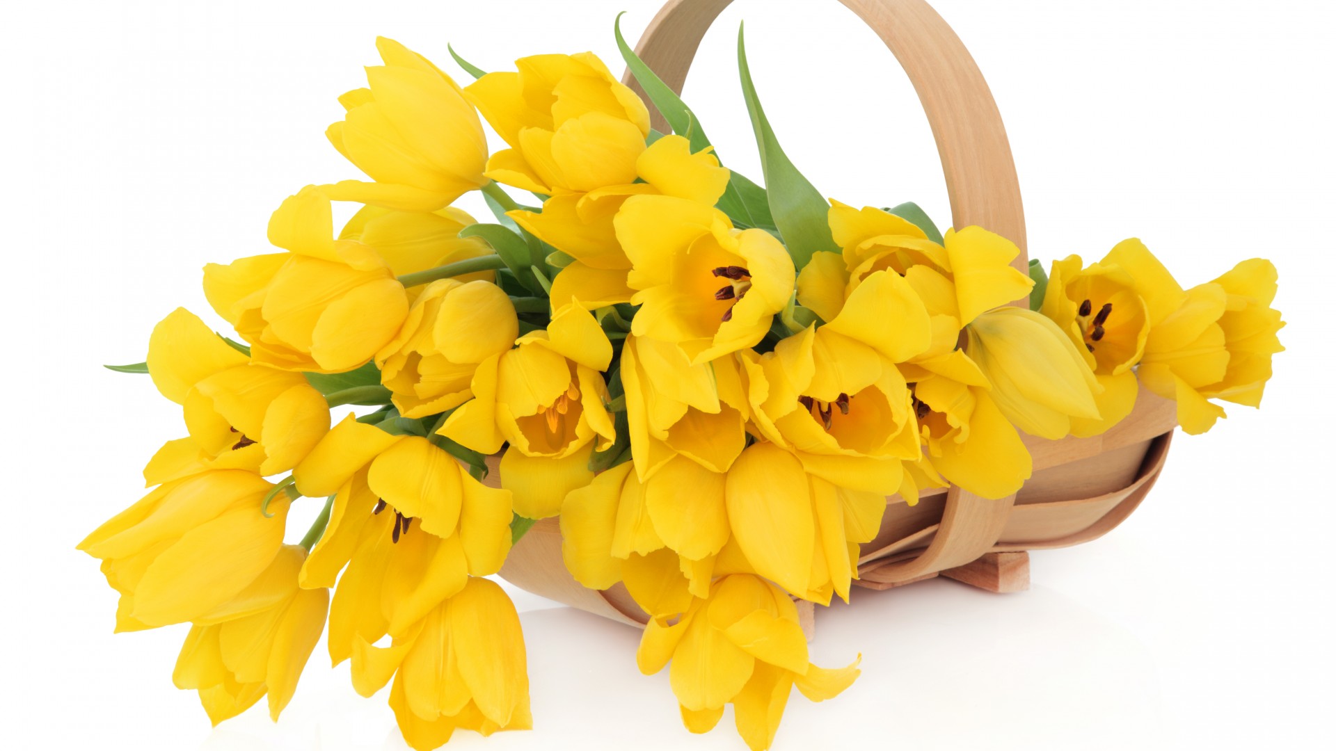 ���� �������. Beaver ���������������� ��������� ��� ����� ��������� ������������. � 8 ����� ������ 8% �� ����