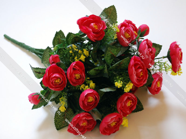 ��������� � ���� ������������� ������. ��������� � �����!