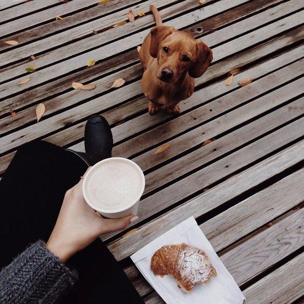 ������, ������� ���� ���������, �� �� ����� ���������