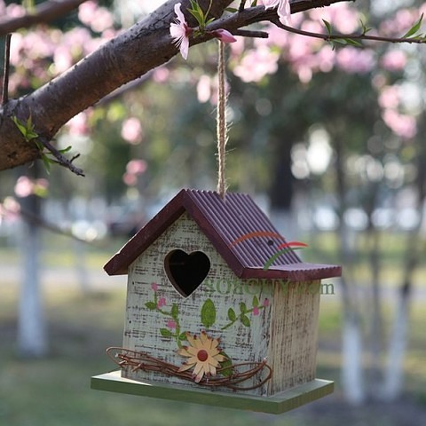 ������������ �����������