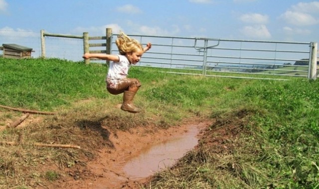 �����-��������-3