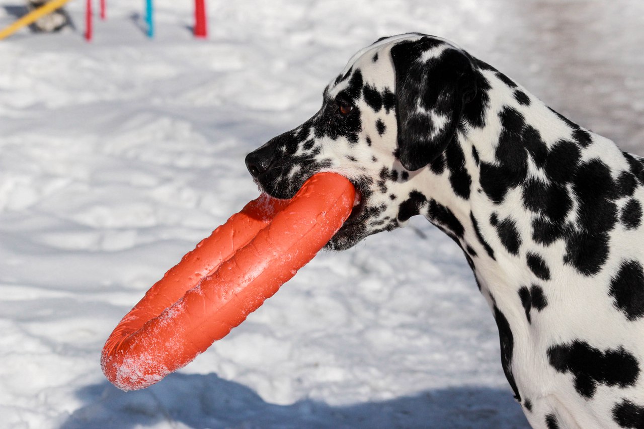 ���� �������. ������� - ������� ������� ����� ������! ������-������ �������, �������� ������� ������ � �������-������! ������ ���! ���� 2