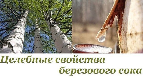 �������� �������� ���������� ����