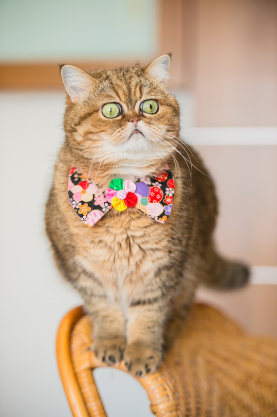 �� ������ �������� ������� �����������, ������ ������������!