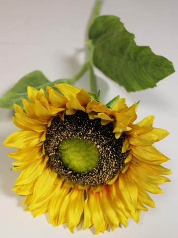 ���� �������. ���������� ��������� ����������� � ��������� ����������! ����������� �����! ���� ������ �� 25%. ����� �� ������� ������������� �������, ��������� �����, ����������� �������, �����. ����� ������������ ����, ������, �����. ����� 11.