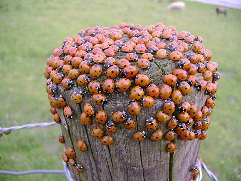 �������!