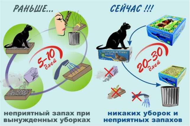 ���� �������. ������� ��� - ��� ������ - 15! ����������� ������� ������. ������ �� ���� ���� �����! ������� �������!!