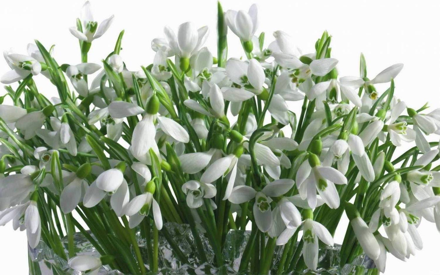 ������� �� 8 �����!! ������� ��������!! �ӣ � �������!! - ��������� ��������� � ���������, �������� ������� � ���.�����, ������ � ��������, �������...