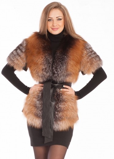 ������� ���� ����� ������