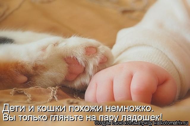 ���� � �����