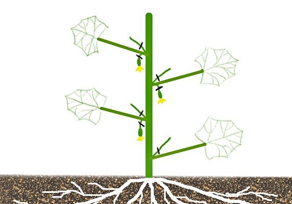 ���������� �������