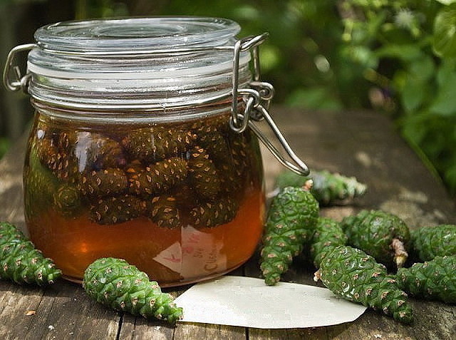 ������ ��� �� ������ �������