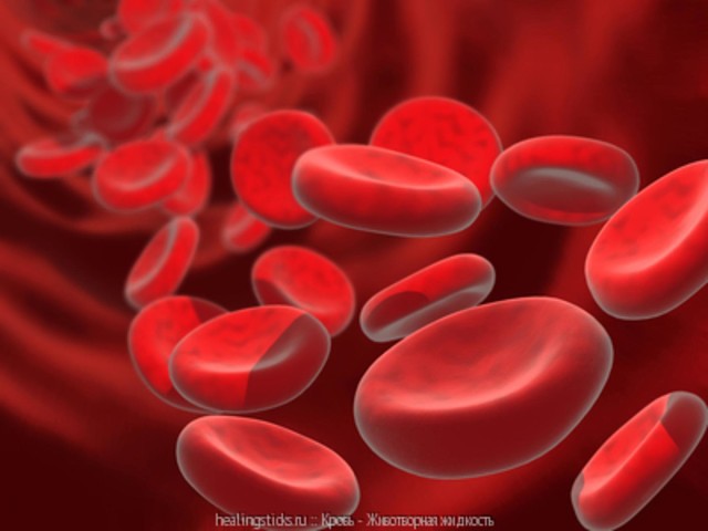 ��� ������������ �������� � �������� ��������� ����� � ������