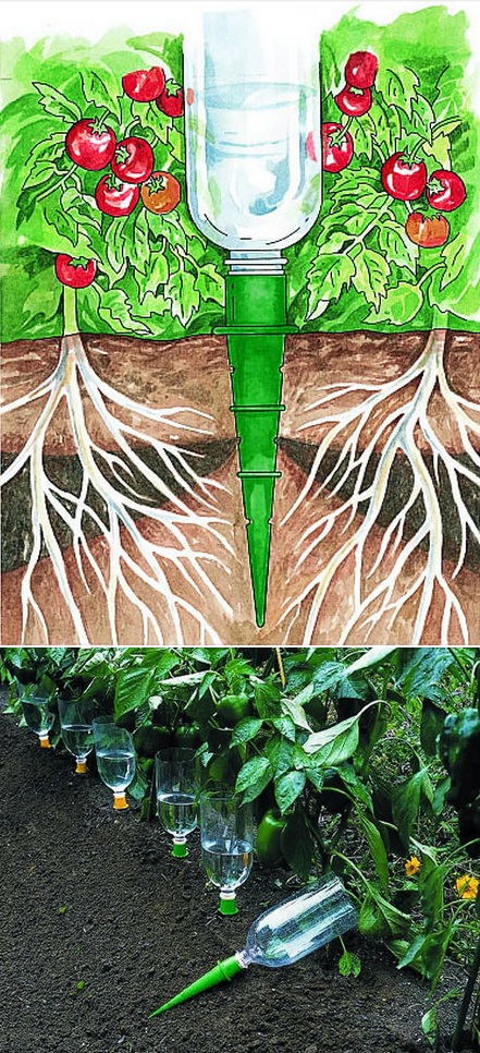 ������ ����� � �������