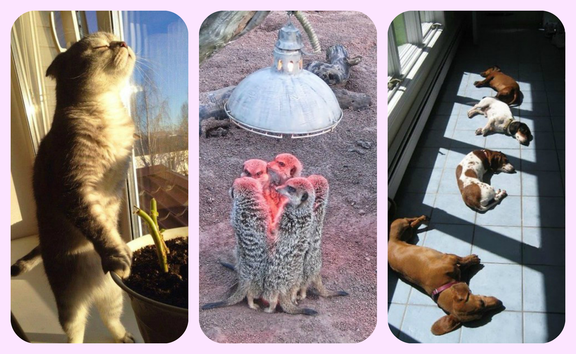 �� ����� �������� 2 ���!!!!!!