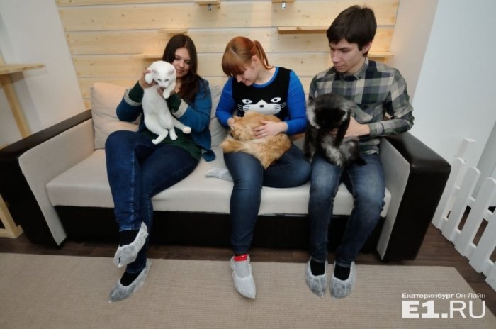 ����������� ������ �������...?