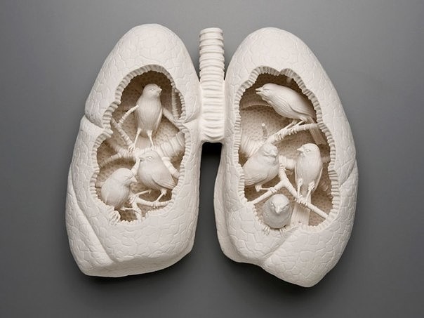 �������� ������ � ��������� ����� ��������������� ��������