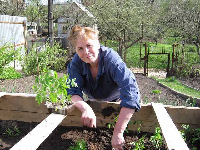 ���� �������, ����� ������� ���������