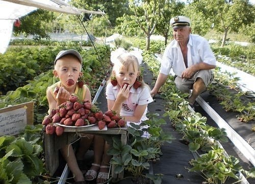 ����� ��������� � 1 ����� �����