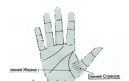 ��� ������ ����� �� ������? ������� � ��������� ������