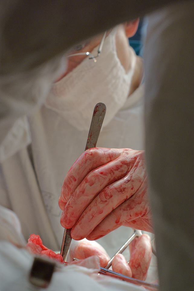 �������� ������.